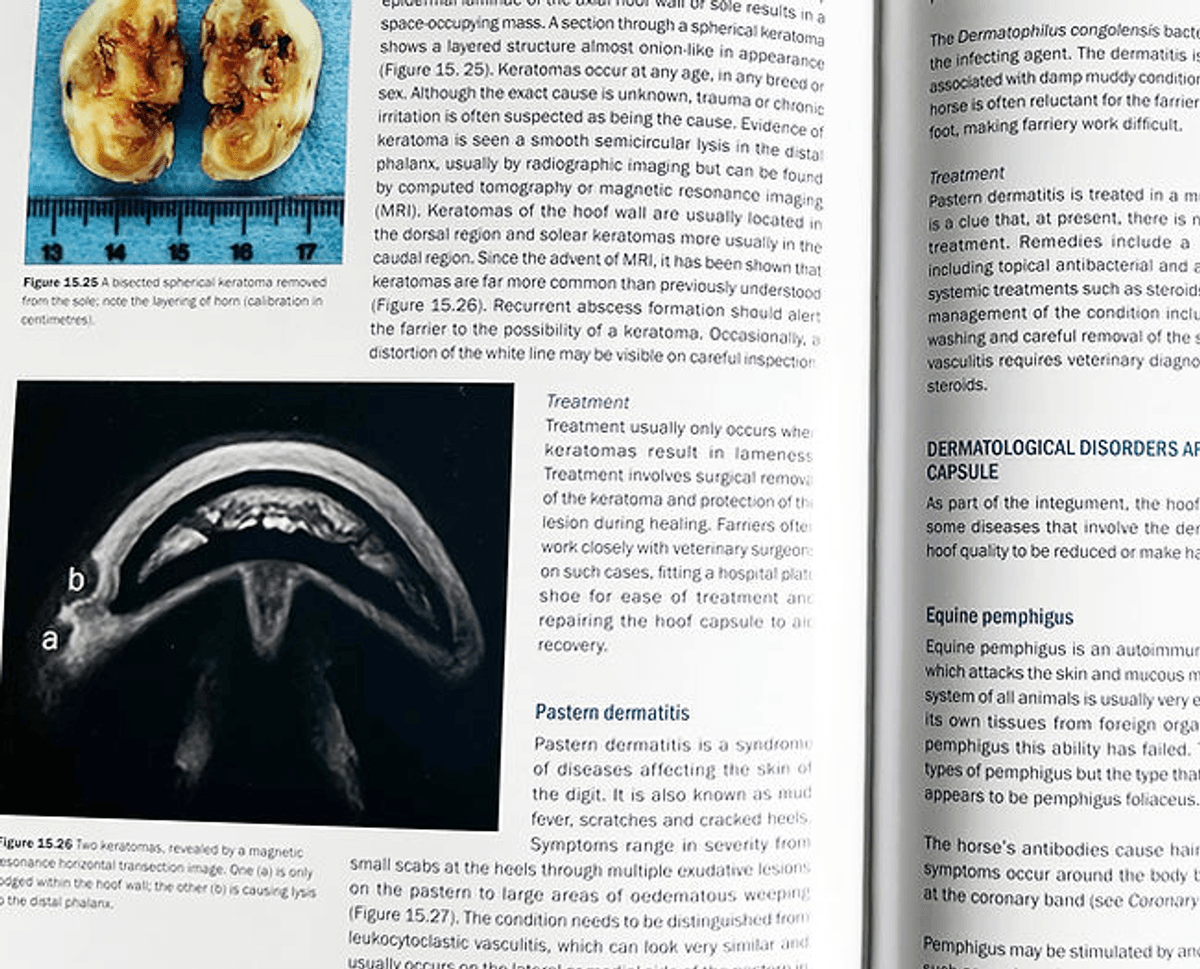 Farriery skills and knowledge bok