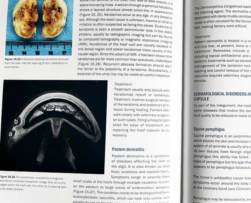 Farriery skills and knowledge bok