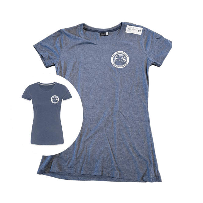 Hovedbilde Nes lyngblå t-shirt dame